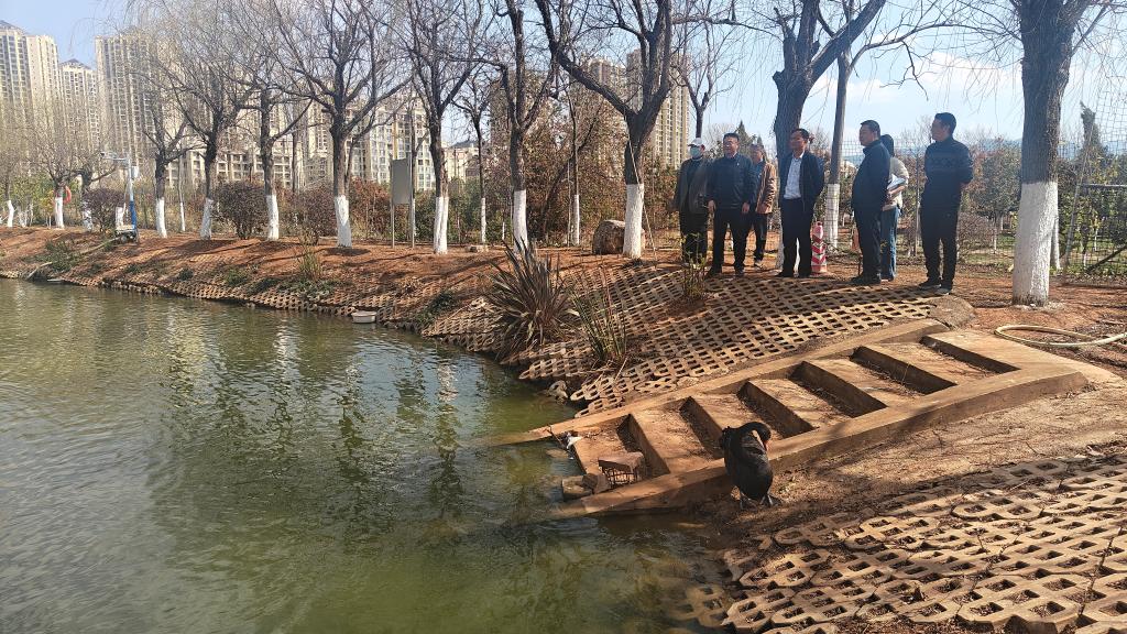 微信图片_20250222153806.jpg